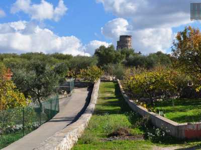 Usciamo dalla villa e proseguiamo sulla destra lungo un vialetto: ed ecco che tra gli alberi vediamo spuntare un�alta costruzione...